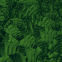 Deep Woods